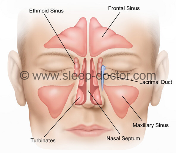 Impact of Treatment for Nasal Cavity Disorders on Sleep Quality