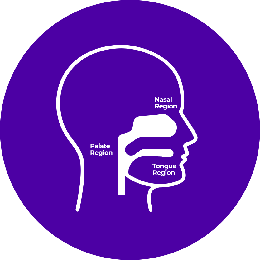 Head - Sleep Apnea and Snoring Surgery for a Better Night's Sleep
